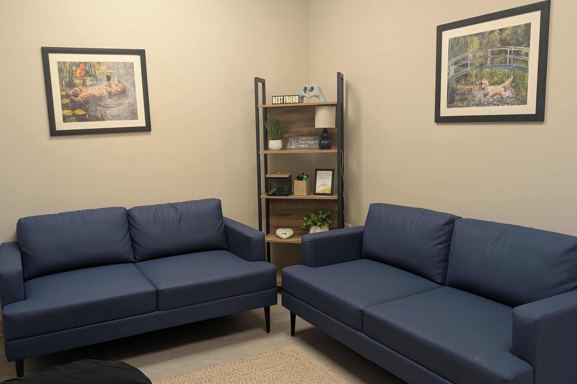 End of life care in our comfort room at Indian Trails Animal Hospital